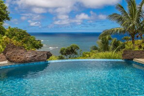 Vista despejada de una piscina con vista al océano y palmeras.