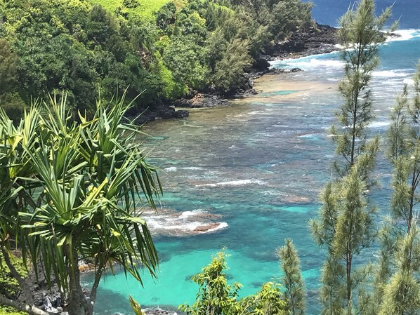 Un paisaje costero con aguas turquesas cristalinas, costa rocosa y abundante vegetación.