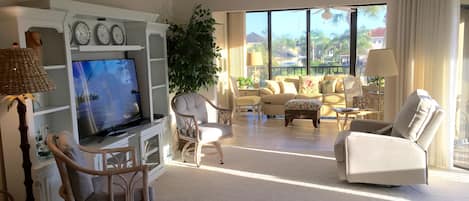 TV