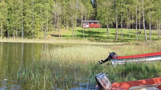 Eine lakeside cabin mit roter Fassade, umgeben von dichtem Wald und einem ruhigen See.