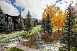 Property grounds - AL4205 | Home Away from Home | Modern Décor | Winter Shuttle | Close to Slopes (Steamboat Springs)