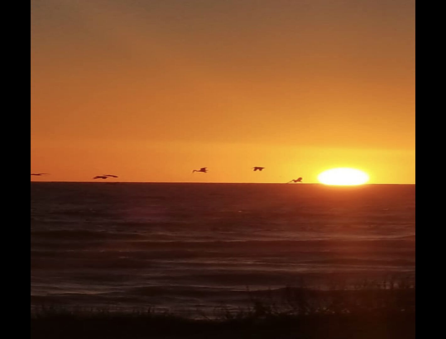 Auringonlasku meren yllä, taivaalla lentäviä lintuja.