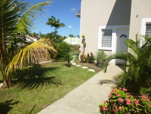 Stroll through the beautifully manicured lawn and tropical plants to the entrance of this modern home.