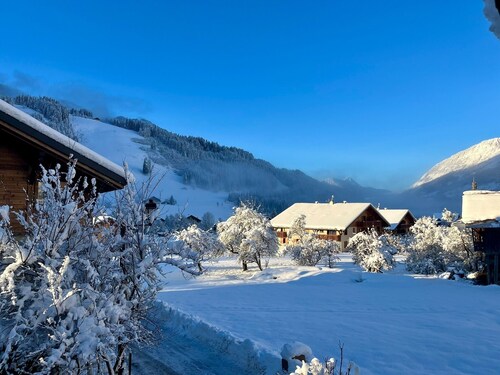Charmante Wohnung 100m von den Pisten