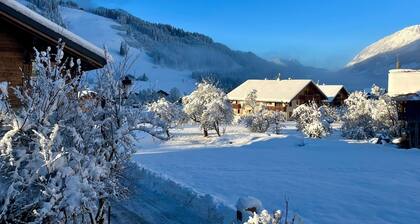 Charmante Wohnung 100m von den Pisten
