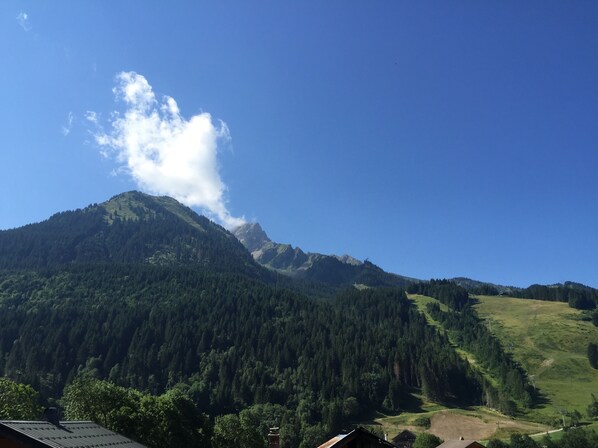 Unclassified image, 1 of 17, button