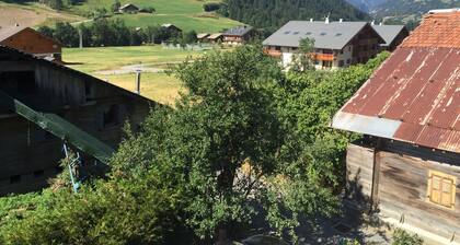 Charming apartment 100m from the slopes
