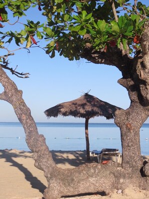 A beach scene with a thatched umbrella, a chair, and a table under a tree.