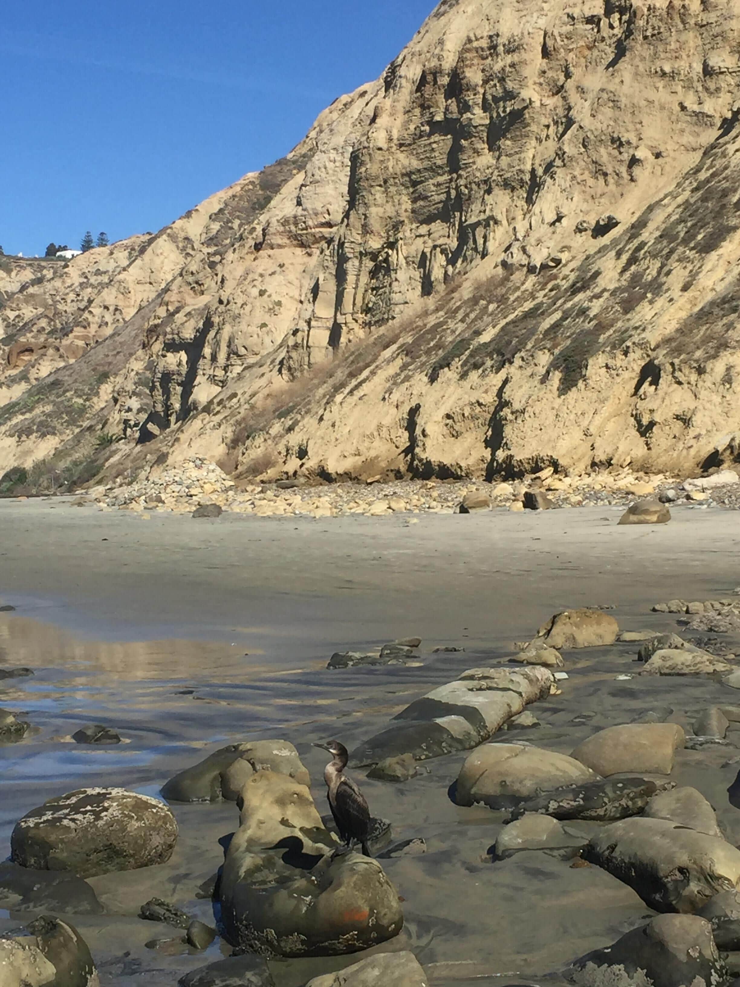 A rocky beach with a large cliff in the background.