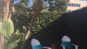 Two Adirondack chairs with cushions, a small round table, and a potted plant in a garden area with a hedge and banana plants. - La Jolla Shores Beach Cottage (La Jolla)