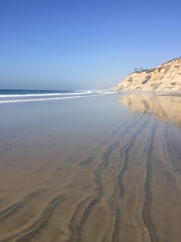 Sun-loungers, beach towels - La Jolla Shores Beach Cottage (La Jolla)