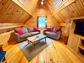 Télévision, cheminée, chaîne hi-fi