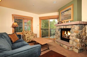 TV, fireplace, DVD player