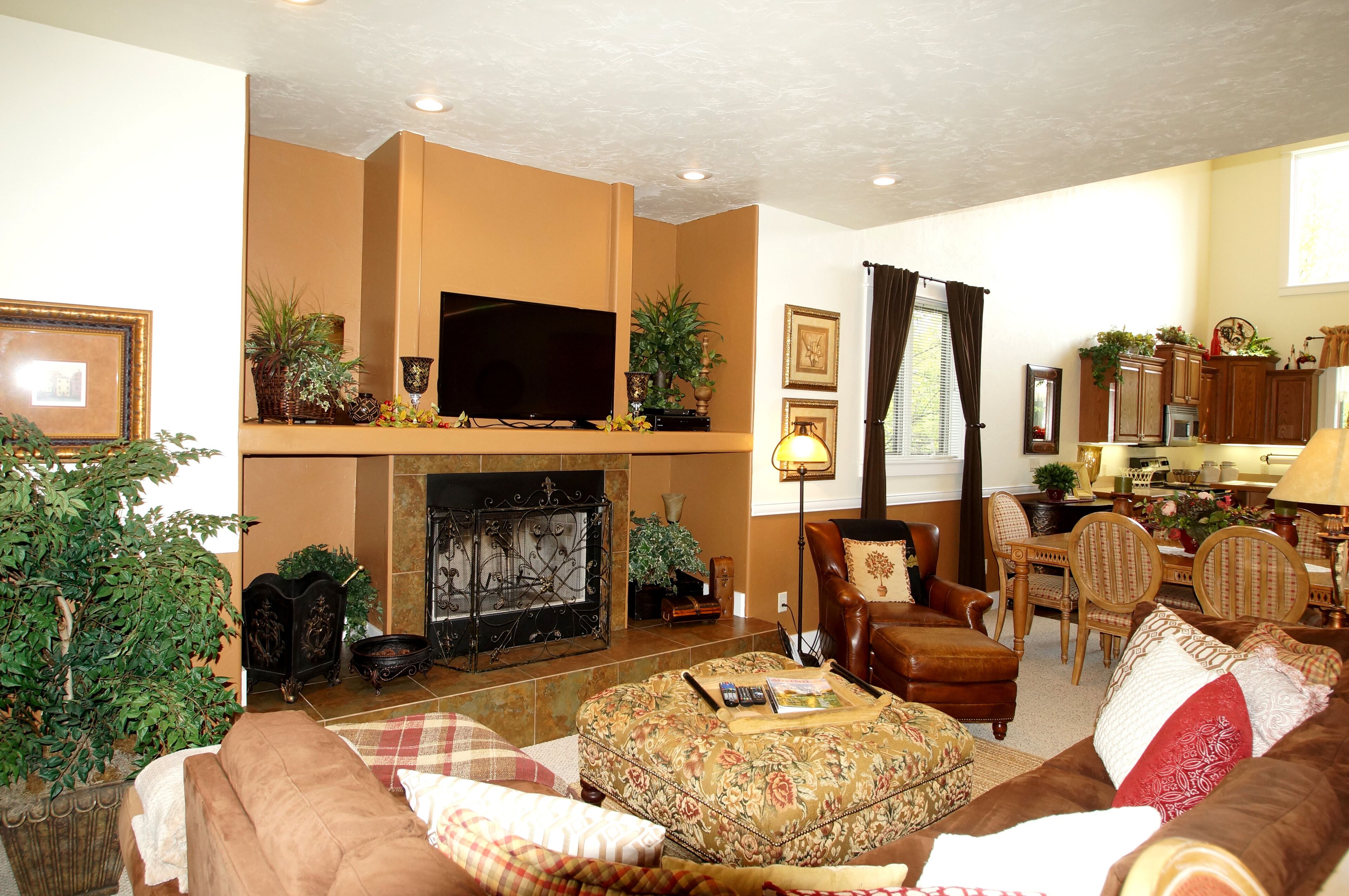 TV connectée, cheminée, lecteur de DVD