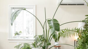 A room with a ceiling fan, large windows, and several potted plants. - Botanical Loft in Amish Country, King Bed, Jetted Tub & Garden Patio (Bird-In-Hand)