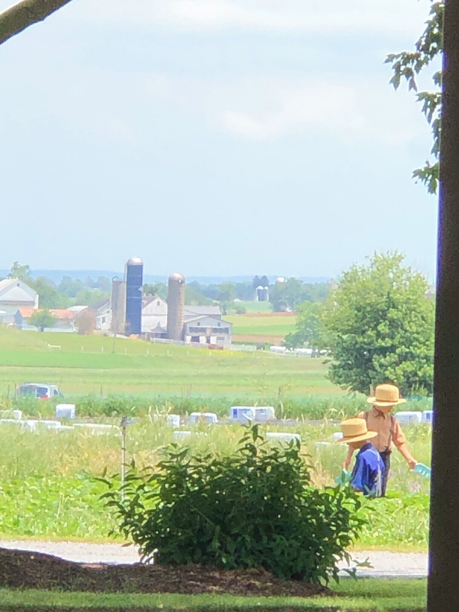 A rural landscape with a barn, silo, and a field.