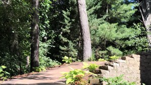 A paved pathway in a wooded area with stone walls and green foliage.