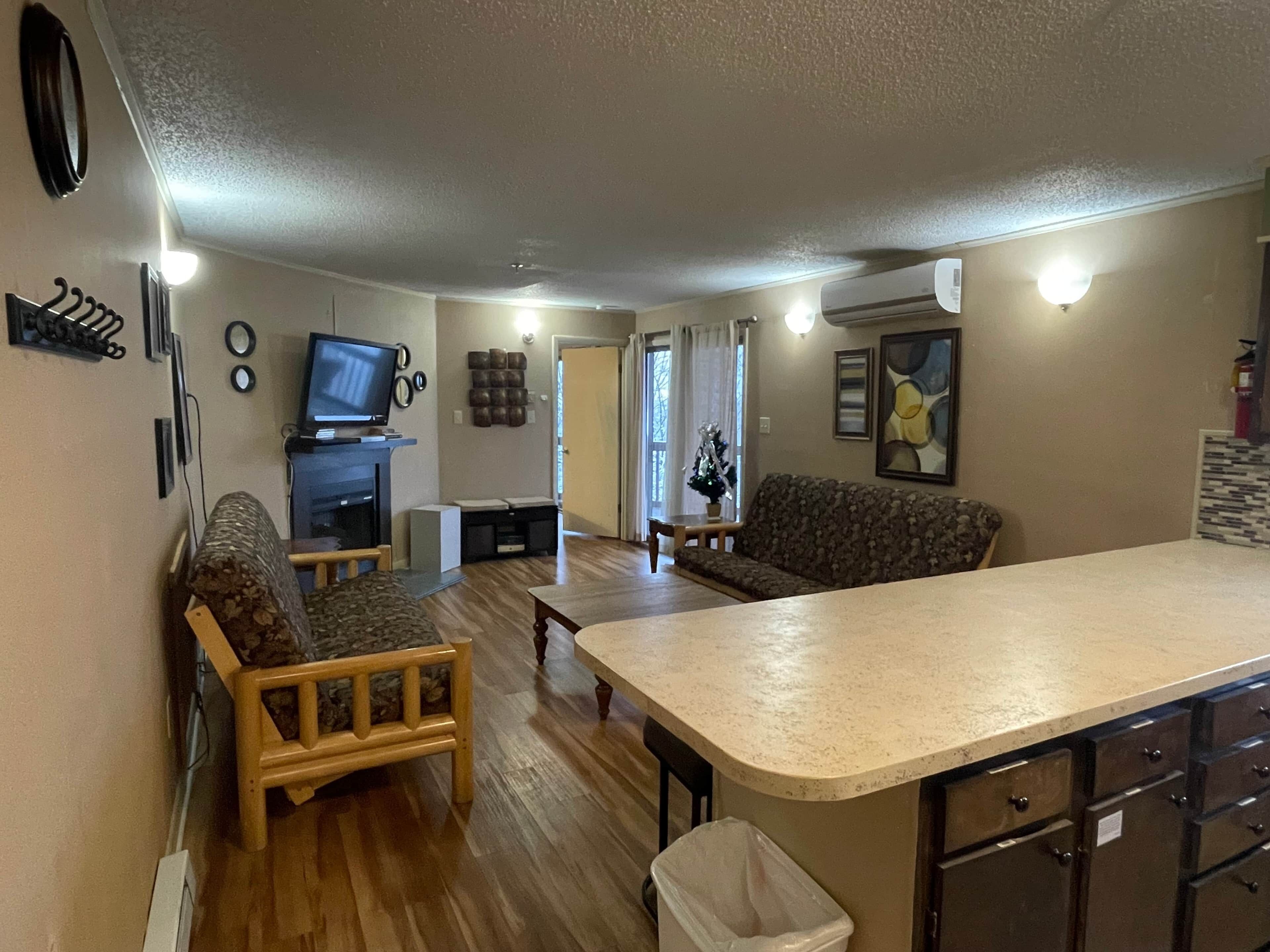 电视、壁炉、DVD 播放器