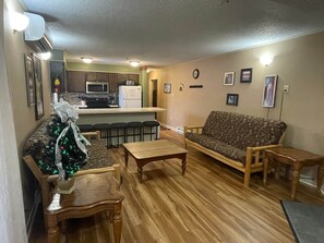 TV, fireplace, DVD player