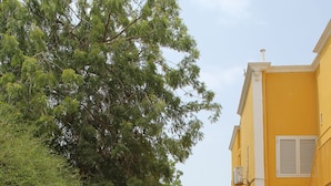 Une terrasse extérieure avec des meubles en osier et un bâtiment jaune en arrière-plan.