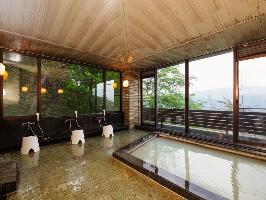 Free toiletries, hair dryer, slippers, bidet