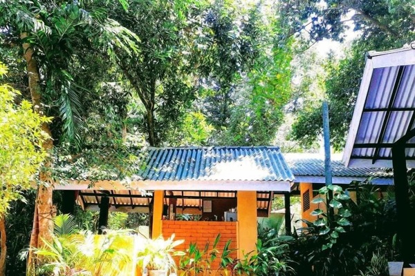 Surrounded by lush greenery, this serene pool area offers a tranquil escape.