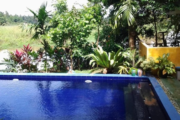 Una piscina al aire libre, sillones reclinables de piscina