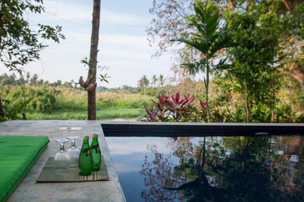Outdoor pool, sun loungers