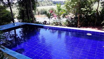 Una piscina con suelo de azulejos azules, rodeada de exuberante follaje y árboles.