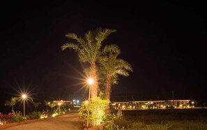 Vista nocturna de un camino bien iluminado que conduce a un edificio con varias ventanas, rodeado de palmeras e iluminado por farolas.