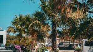 A parking area with palm trees and a building in the background. - Bianco Hotel (Ksamil)