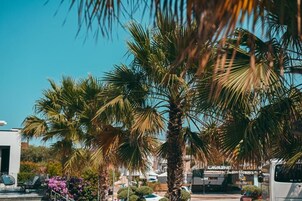 Detalle del exterior