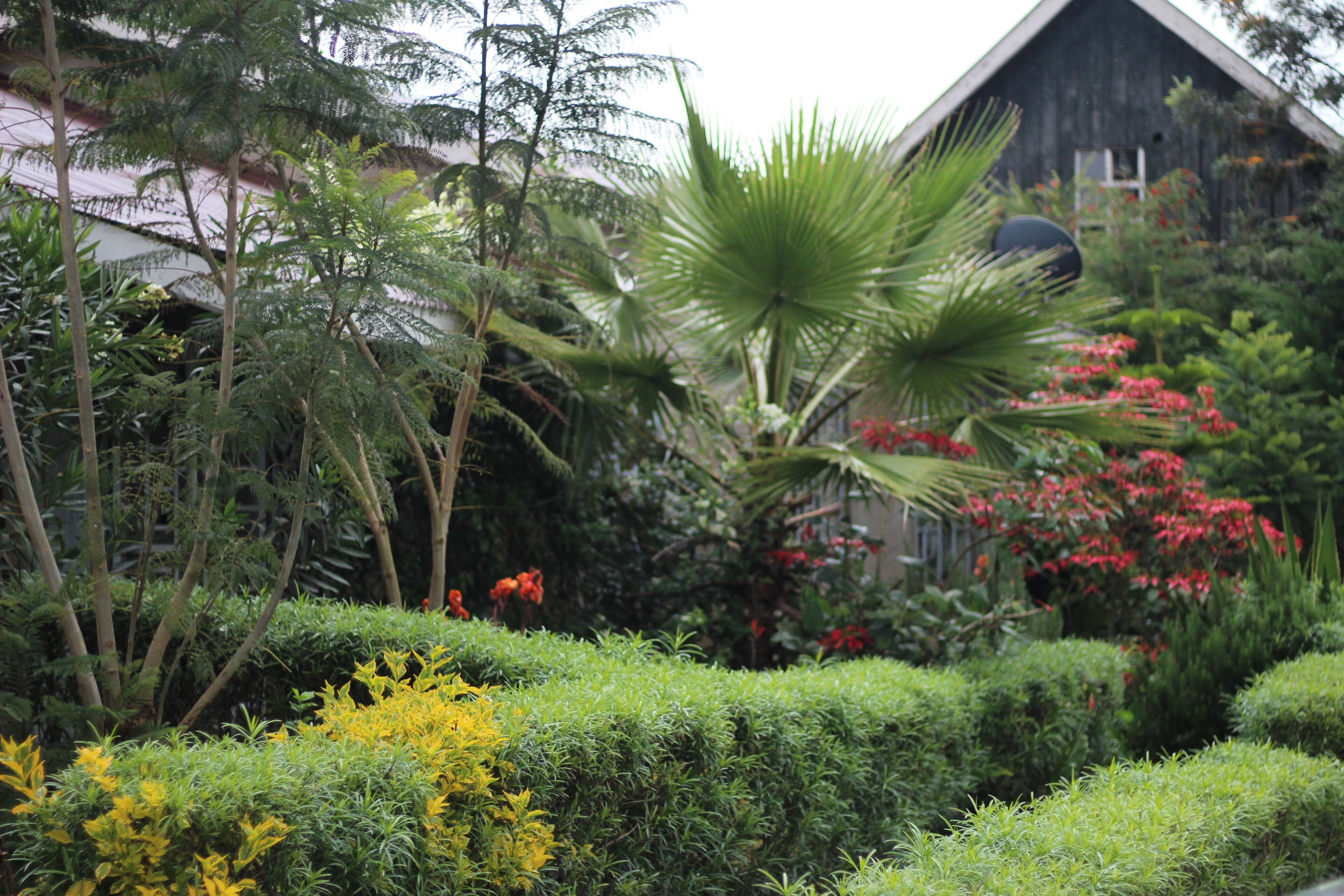 Áreas de la propiedad