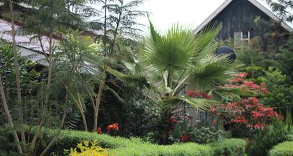 Komplett eingerichtetes Haus mit 2 Schlafzimmern. 4 Schlafplätze