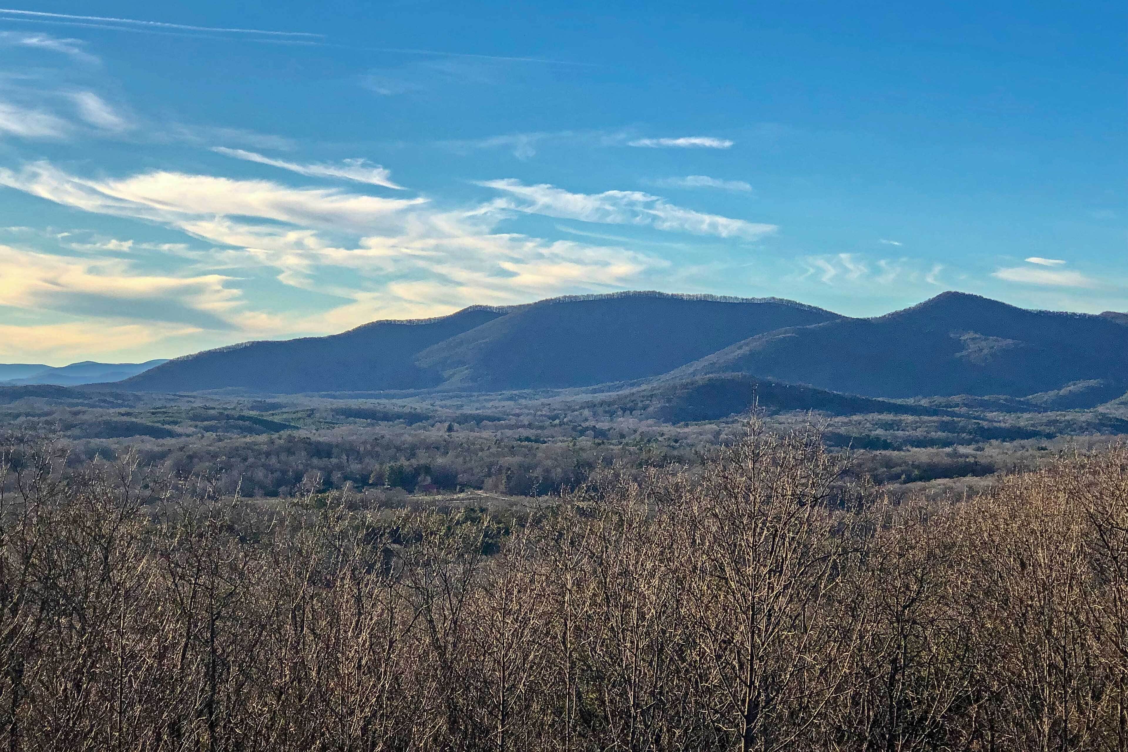 Un paysage montagneux, avec un ciel dégagé et une forêt au premier plan.