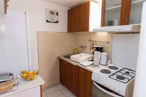 Fridge, oven, stovetop, electric kettle
