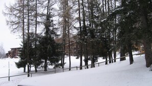 A snow-covered outdoor area with a wooden fence and tall trees.
