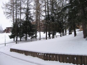 Un espacio al aire libre cubierto de nieve, con una valla de madera y árboles altos.