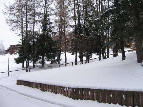 A snow-covered outdoor area with a wooden fence and tall trees.