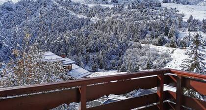Family Apartment - 2 Bedrooms, Balcony, Near Slopes, Méribel