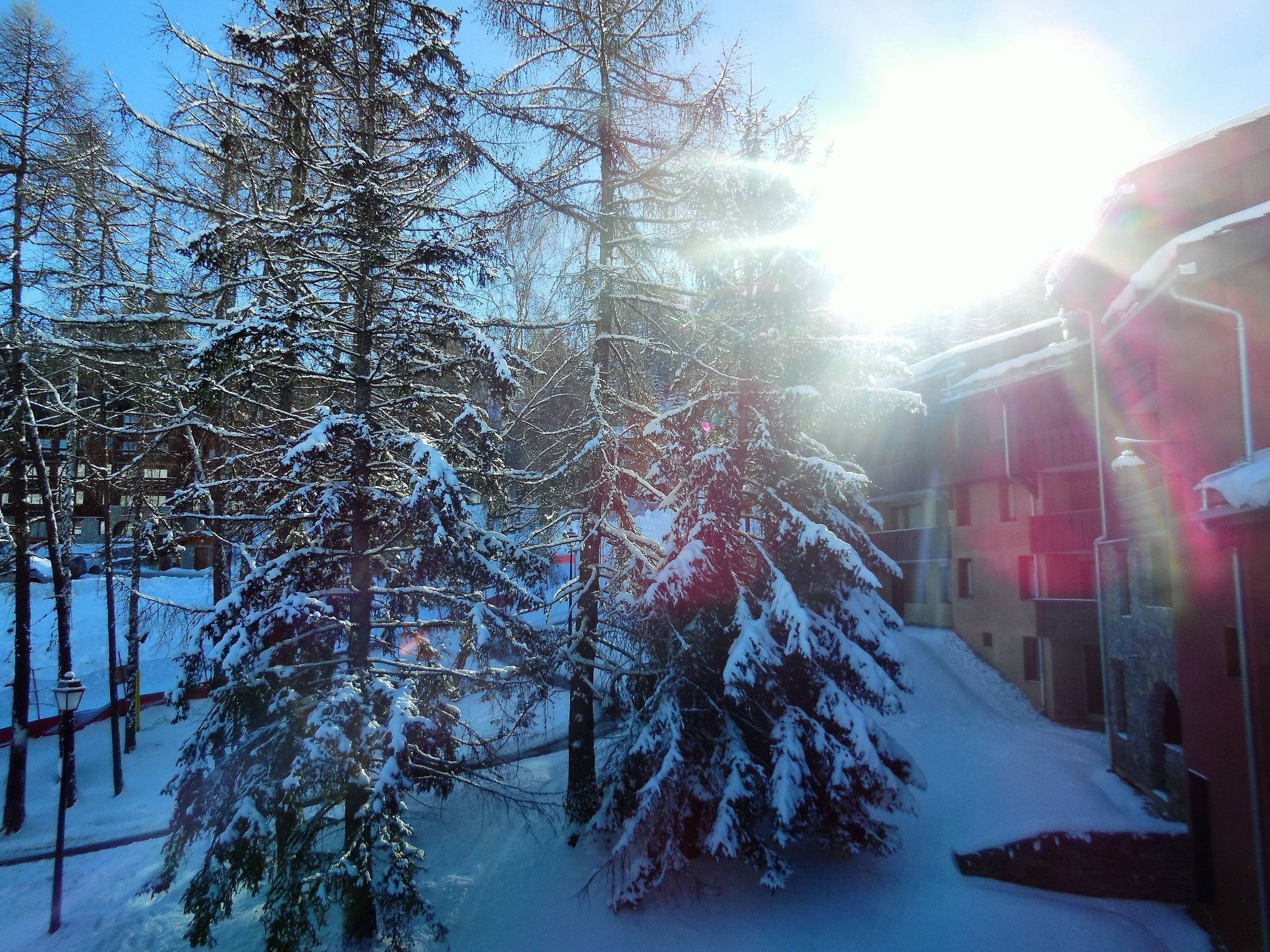 A snow-covered landscape with trees and a building in the background.