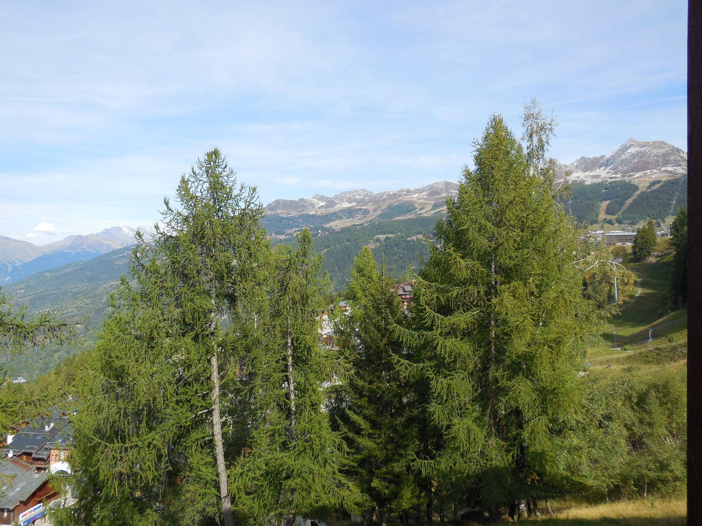 A mountainous landscape with dense coniferous trees, a clear sky, and distant snow-capped peaks.