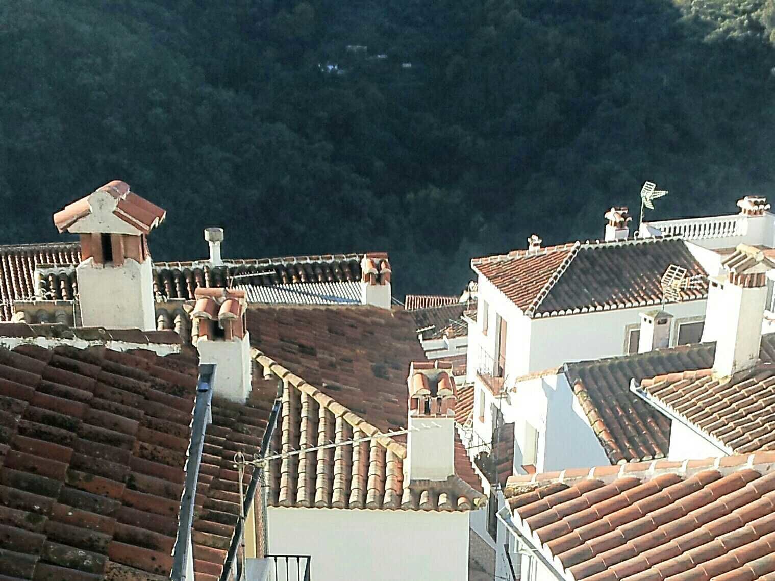 Vista de techos de tejas color terracota con chimeneas, sobre un fondo de bosque denso.
