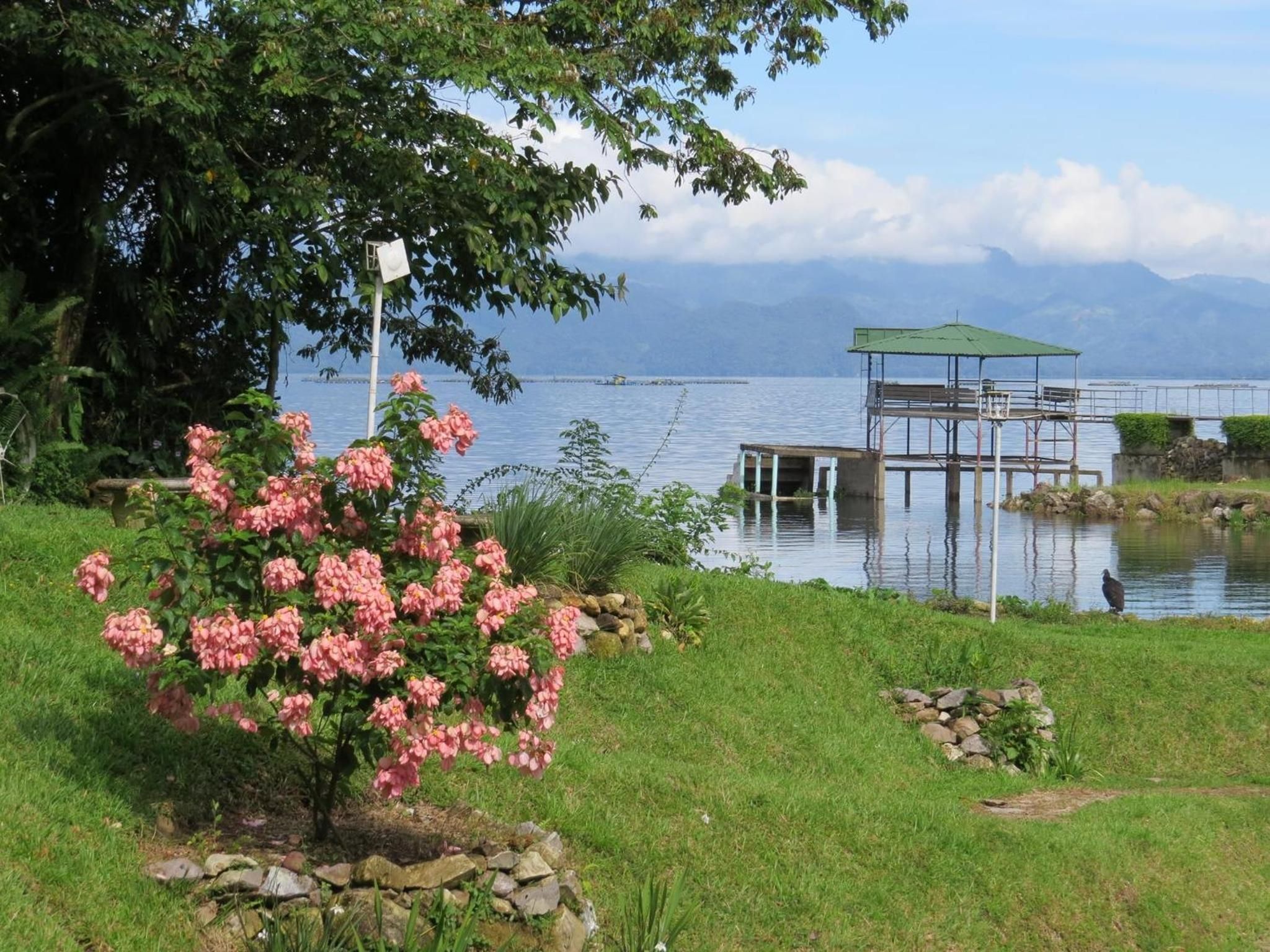 A lakeside view with a dock, a gazebo, and a flowering shrub.