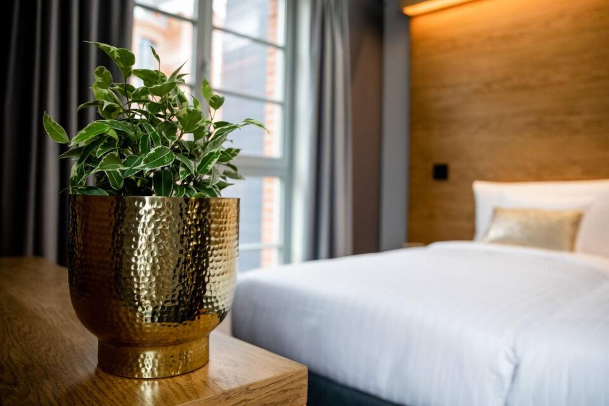 A hotel room with a bed, a wooden nightstand, and a potted plant.