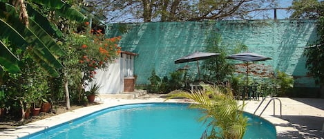 Outdoor pool, open 8:00 AM to 8:00 PM, pool umbrellas, sun loungers