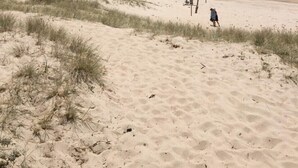 A beach with sand dunes and a clear view of the ocean.