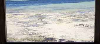 A Private Paradise on the Ocean!