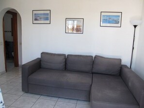 Smart TV, DVD player, books