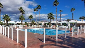 En swimmingpool omgiven av palmer och solstolar, med en klarblå himmel i bakgrunden.
